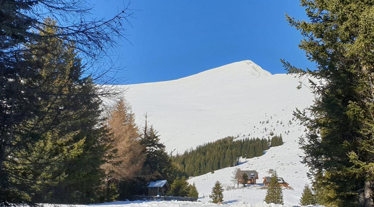 Rettlhof Sankt Peter am Kammersberg Exterior foto